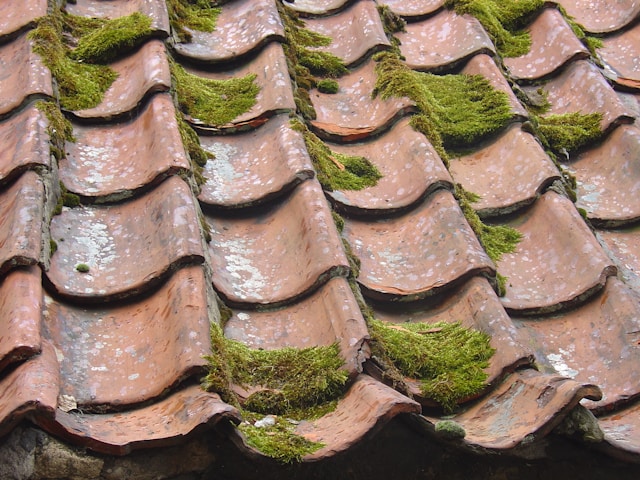 Roof Cleaning and Maintenance in Naples, Florida: Prevent Damage and Extend Roof Life
