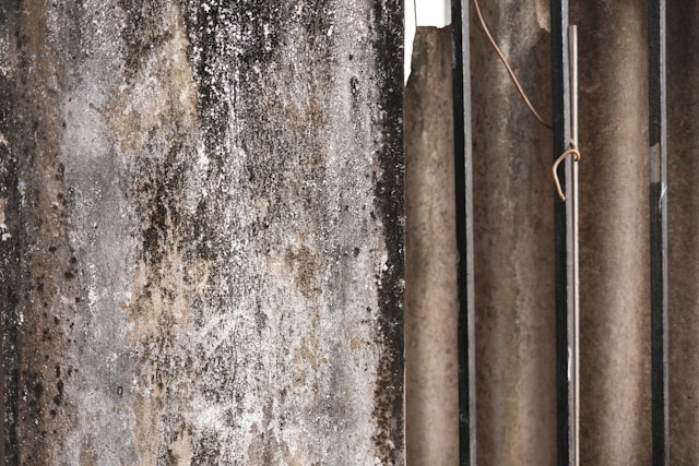 Mold Remediation and Exterior Cleaning: Protect Your Building from Hidden Health Risks