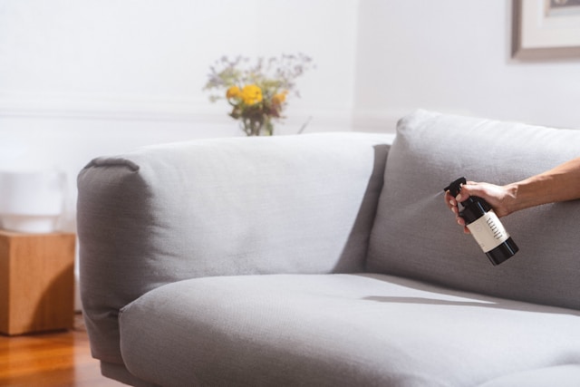 Mold Remediation & Odor Elimination Services: Creating Healthier Residential and Commercial Environments