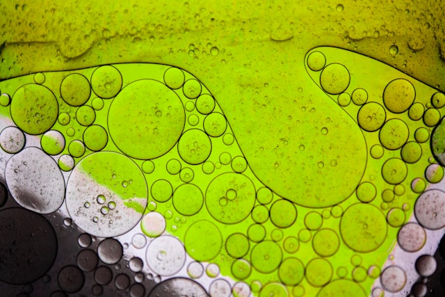 Roof Cleaning & Roof Maintenance in Florida: Protecting Homes from Algae, Mold, and Weather Damage