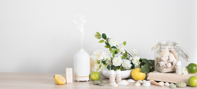Mold Remediation & Odor Elimination Services: Creating Healthier Residential and Commercial Environments